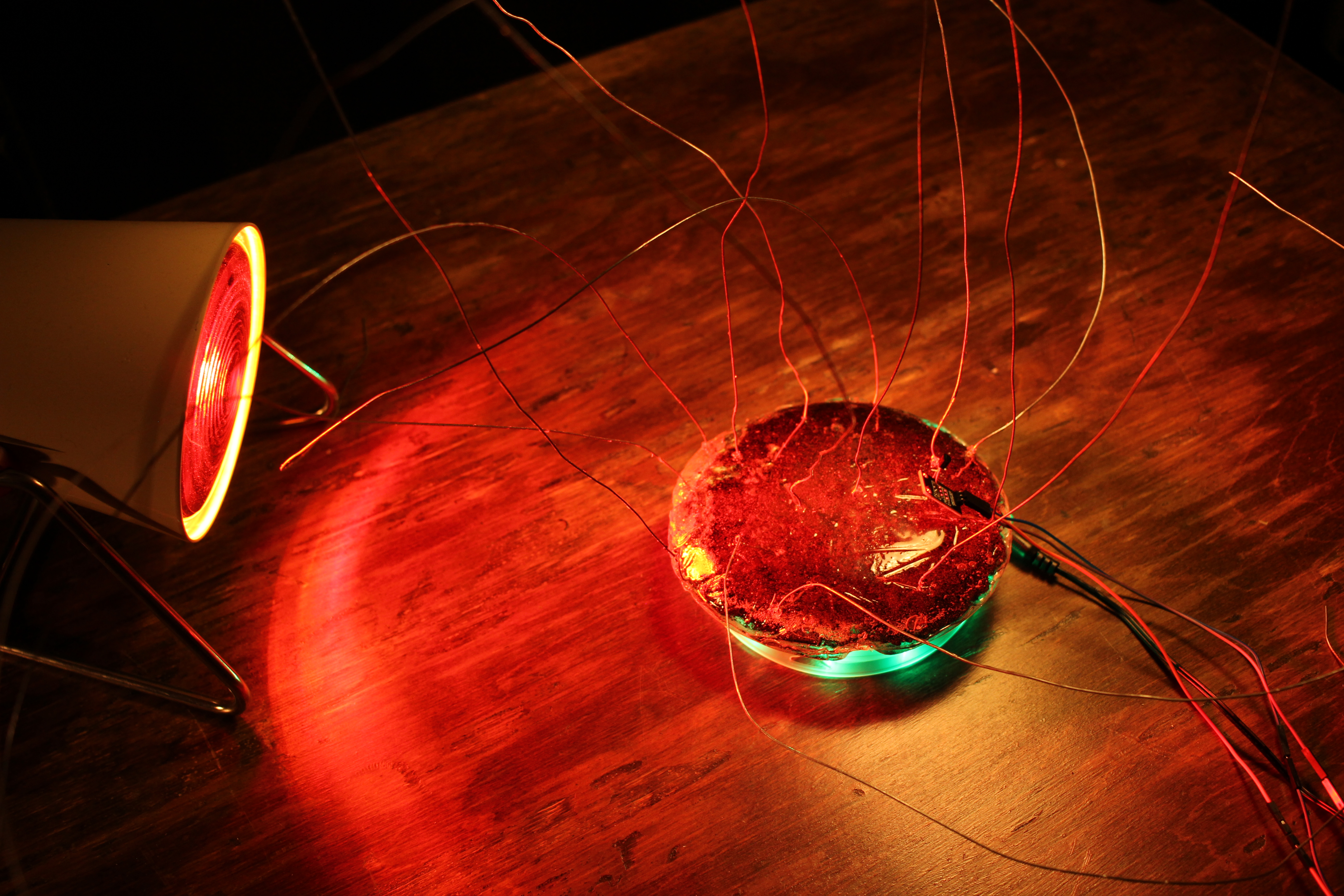 E-Vironments   |   audiovisual performances